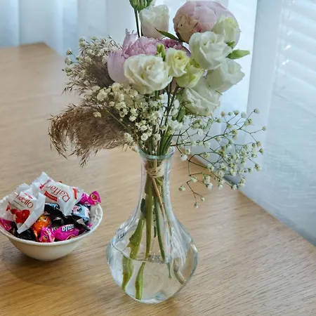 Apartman Old Town By Nejra *